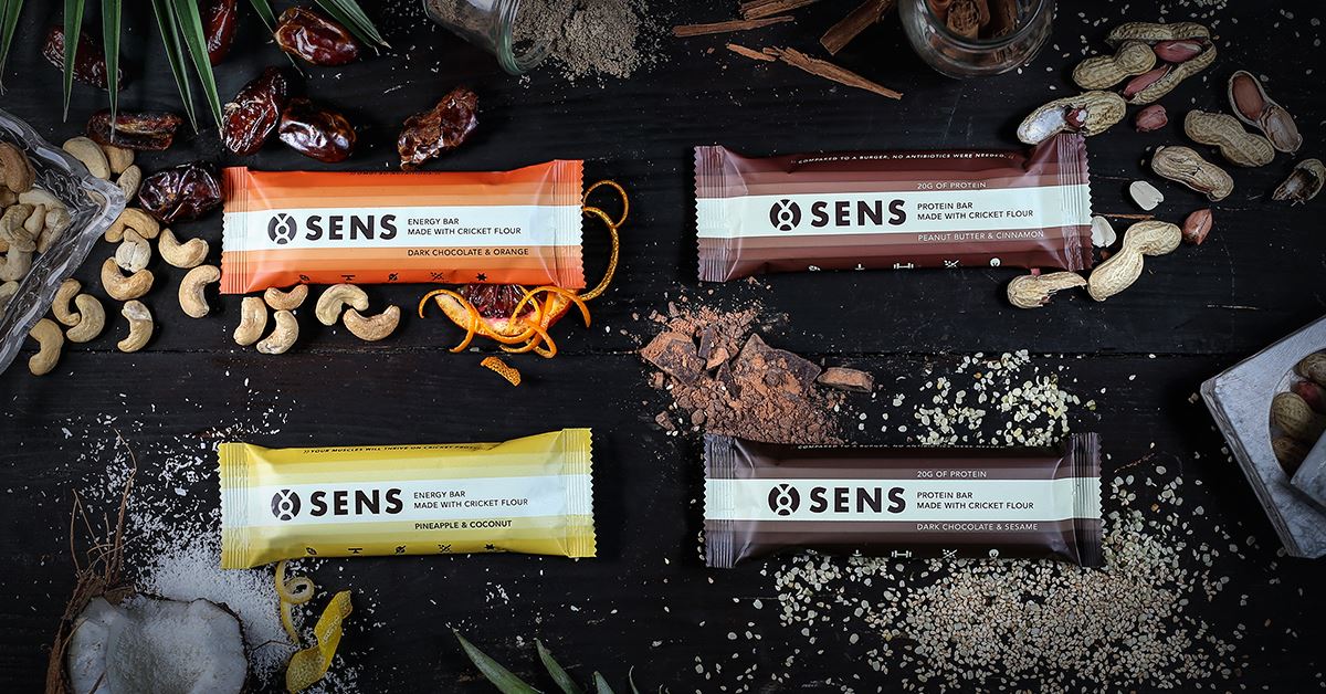 17880490_1496069187071981_7270341173764693739_o