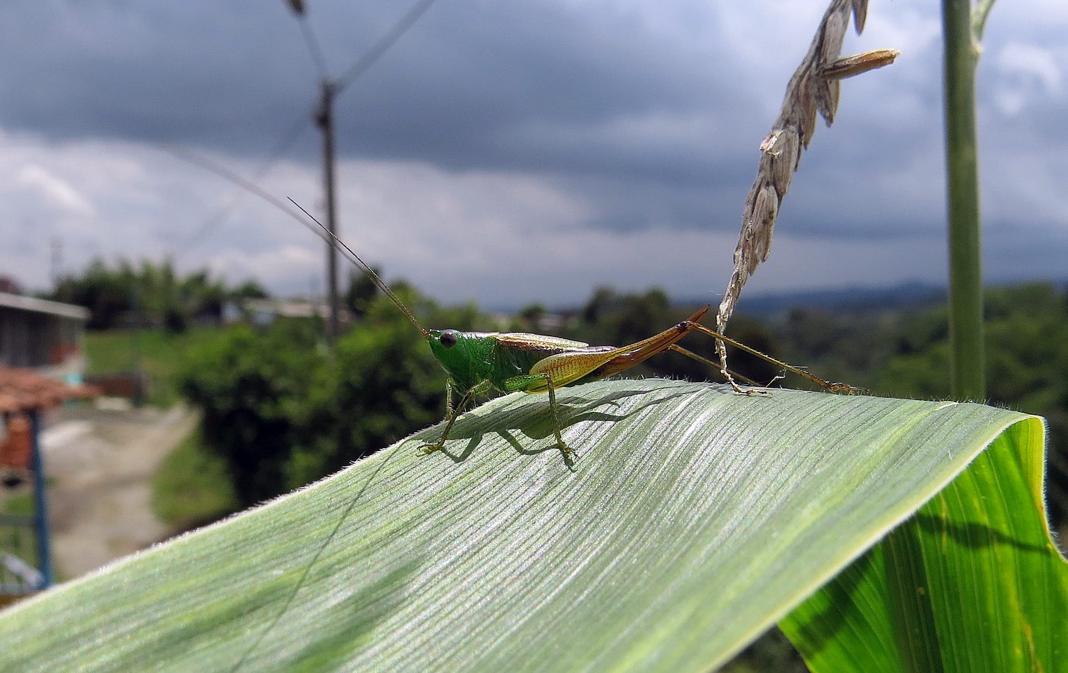 21427329_1658119787533586_6022993701997171400_o